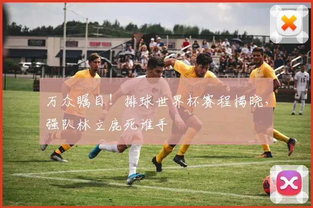 万众瞩目！排球世界杯赛程揭晓，强队林立鹿死谁手